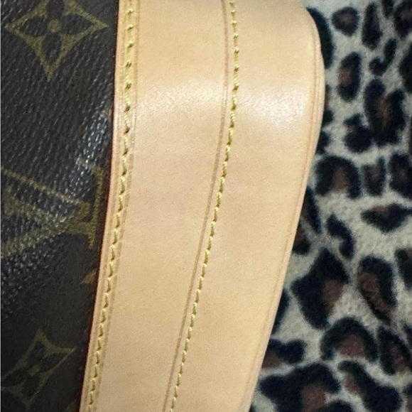 Louis Vuitton GM Noe - Picture 14 of 16